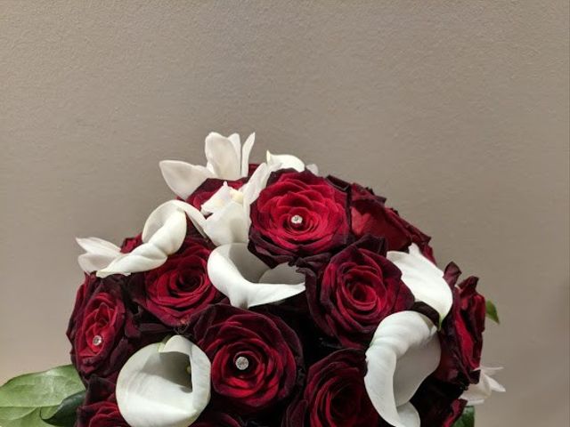 Rob and Amy's wedding in Collingwood, Ontario 4