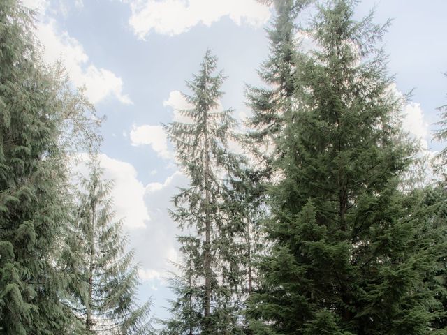 Ethan and Destinee's wedding in Maple Ridge, British Columbia 38