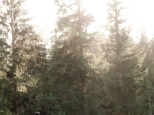 Ethan and Destinee's wedding in Maple Ridge, British Columbia 80
