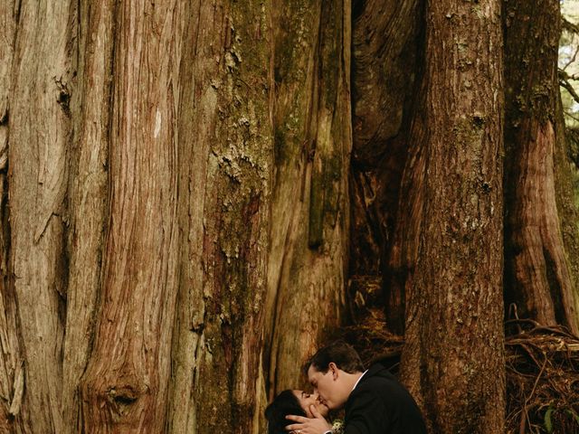 Jordan and Alma&apos;s wedding in Tofino, British Columbia 28