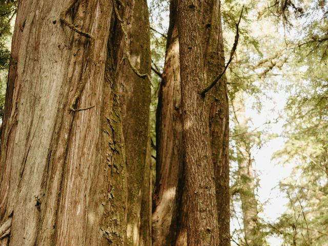 Jordan and Alma&apos;s wedding in Tofino, British Columbia 30