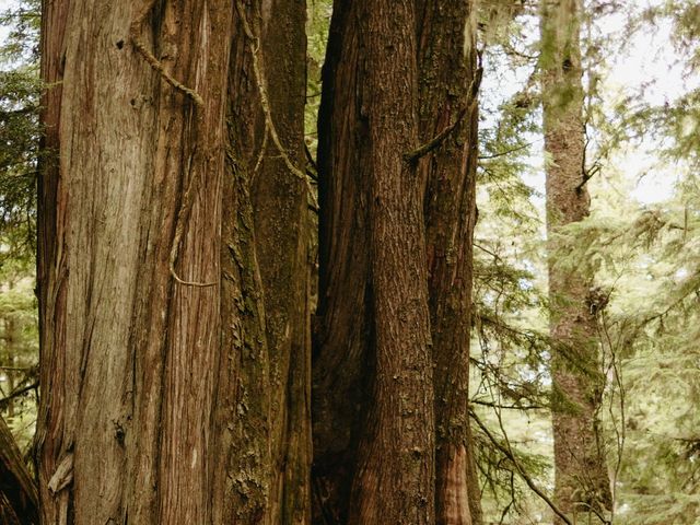 Jordan and Alma&apos;s wedding in Tofino, British Columbia 35