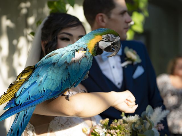 Jess and Tom&apos;s wedding in Carp, Ontario 138