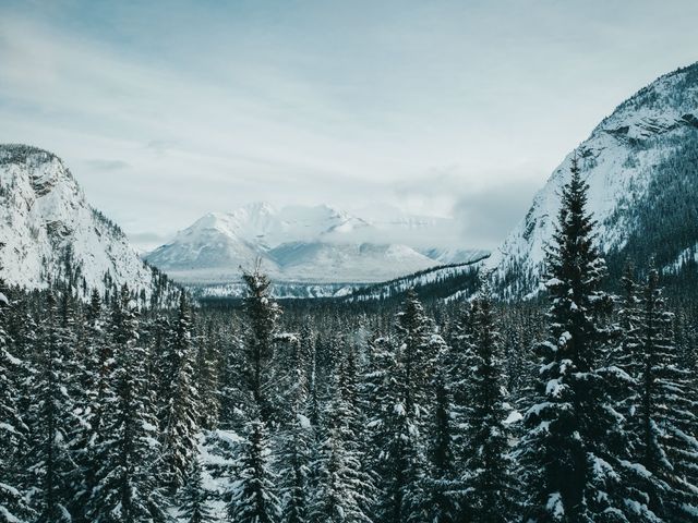 Cortland and Amanda&apos;s wedding in Banff, Alberta 3