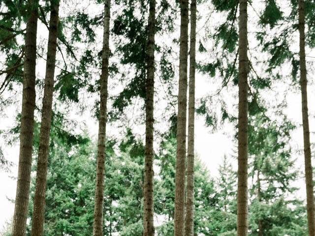 Brian and Danielle's wedding in Courtenay, British Columbia 4