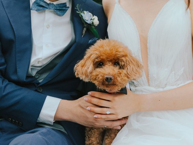 Alex and Serena's wedding in Delhi, Ontario 2