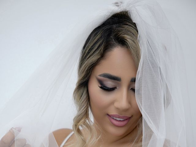 Armin and Darya's wedding in Montreal, Quebec 3