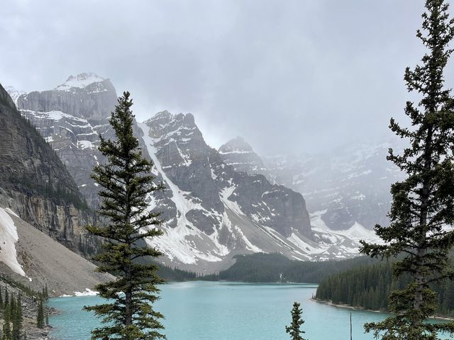 Caleb and Steph&apos;s wedding in Banff, Alberta 11