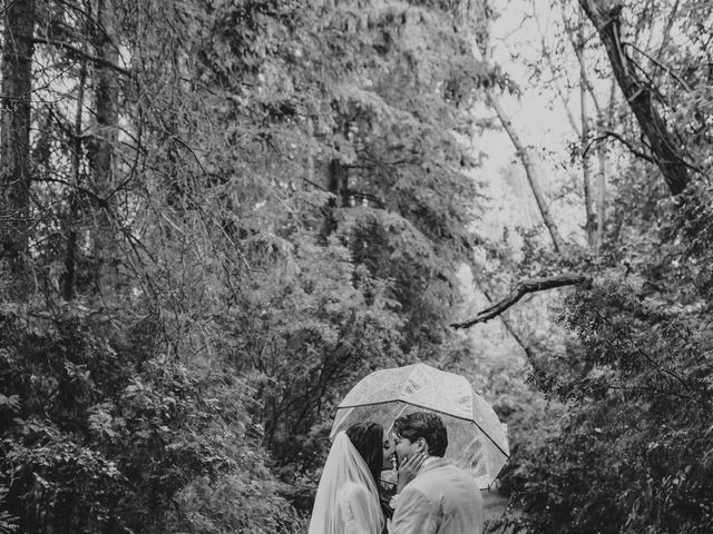 Austin  and Elyse 's wedding in Bowden, Alberta 4