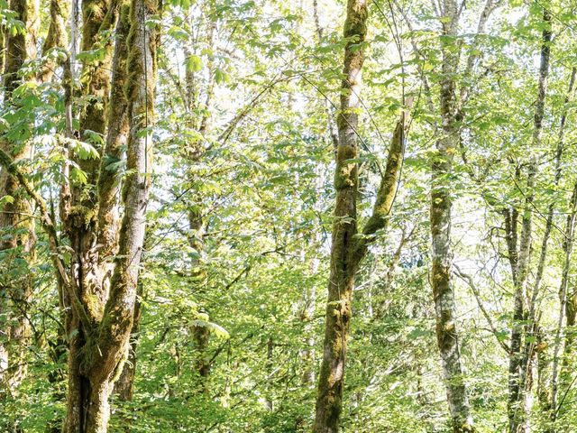 Nathan and Carlee's wedding in Squamish, British Columbia 5
