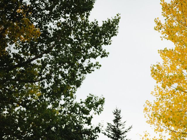 Noah and Brooke's wedding in Didsbury, Alberta 6