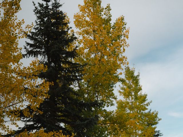 Noah and Brooke's wedding in Didsbury, Alberta 27