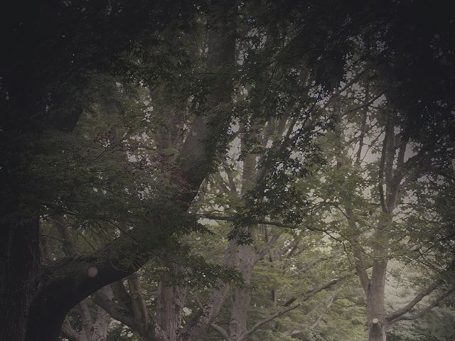 Steve and Katrina's wedding in Vancouver, British Columbia 5