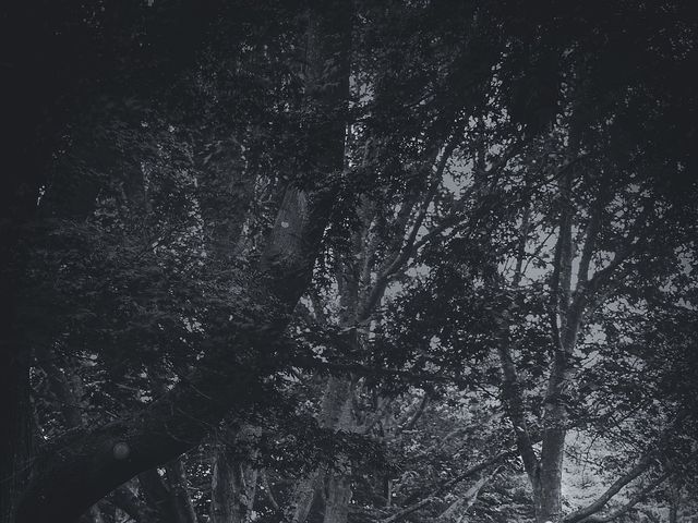 Steve and Katrina's wedding in Vancouver, British Columbia 7