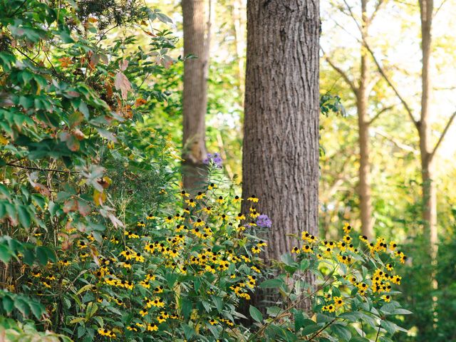 Matt and Karen's wedding in Ancaster, Ontario 45