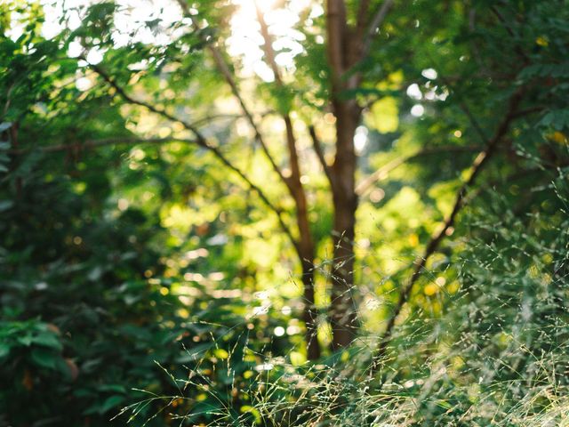 Matt and Karen's wedding in Ancaster, Ontario 47