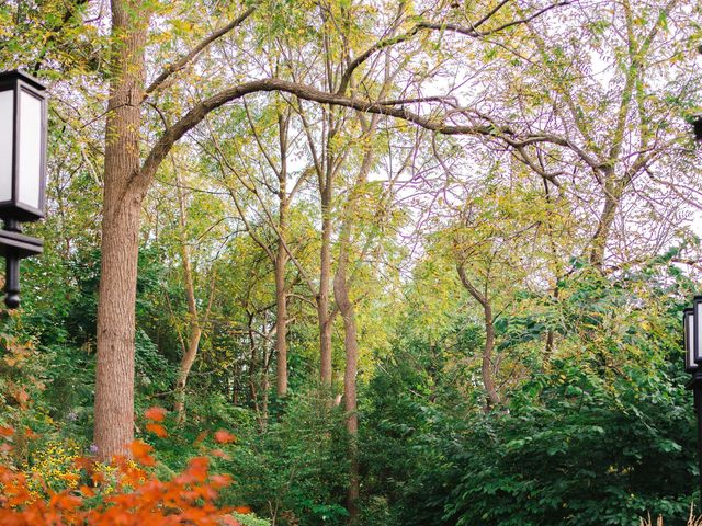 Matt and Karen's wedding in Ancaster, Ontario 66