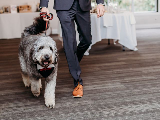 Josh and Leah's wedding in London, Ontario 61