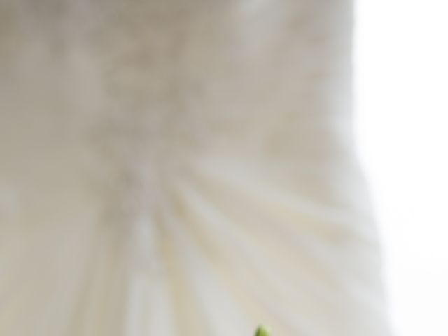 Farley and Cindy's wedding in Vancouver, British Columbia 6