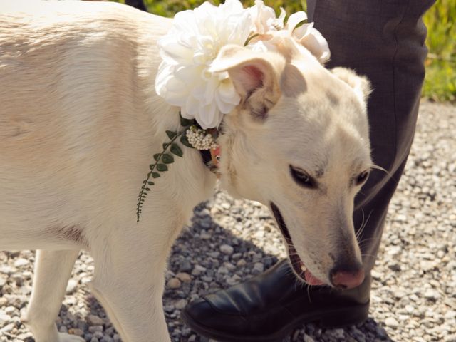 Evan and Caleigh&apos;s wedding in Kananaskis, Alberta 49