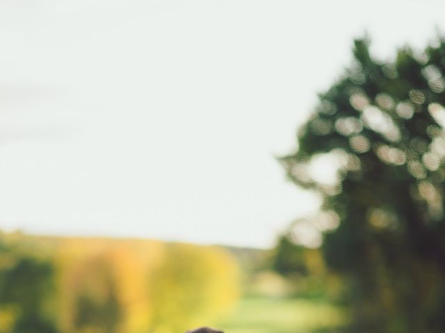 Brian and Nicole's wedding in Huntsville, Ontario 2