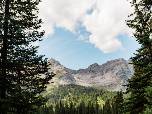 Mark and Tammy&apos;s wedding in Fernie, British Columbia 3