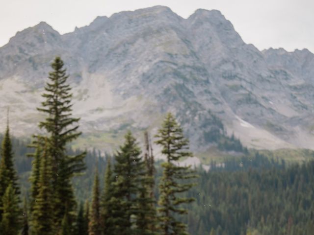 Mark and Tammy&apos;s wedding in Fernie, British Columbia 29