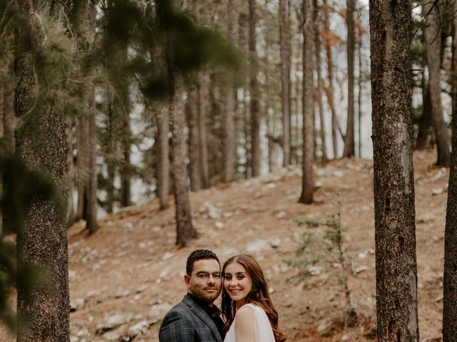 Donivan and Brittany&apos;s wedding in Banff, Alberta 34