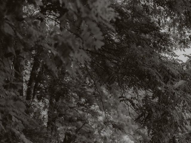 Kennedy and Daniel's wedding in Harrison Hot Springs, British Columbia 19