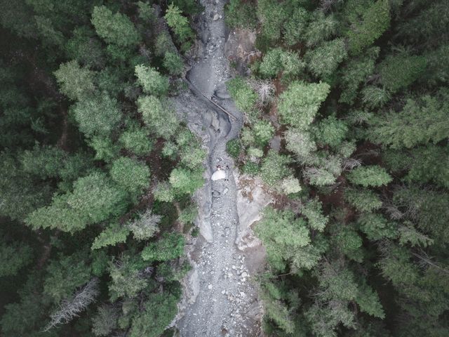 Taku and Indy&apos;s wedding in Kananaskis, Alberta 19