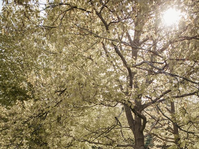 Sean and Lashiah's wedding in Joliette, Quebec 25