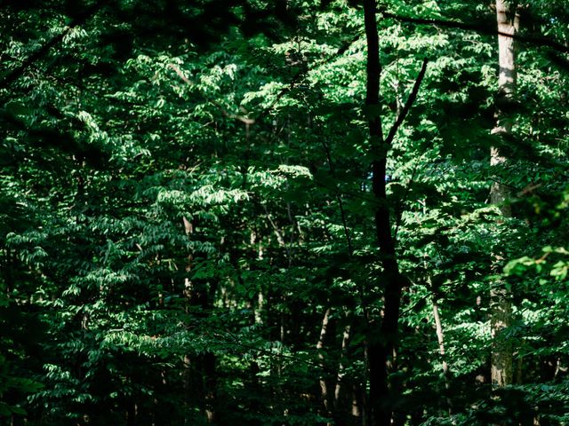 Jake and Katie's wedding in Prince Edward County, Ontario 13