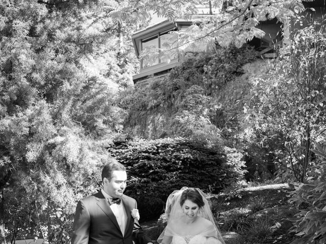 Soheil and Sanam&apos;s wedding in Vancouver, British Columbia 32
