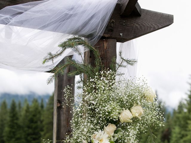 Colton and Carly's wedding in Radium Hot Springs, British Columbia 5