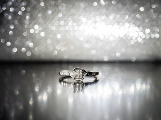 Nathaniel and Katie&apos;s wedding in Niagara Falls, Ontario 4