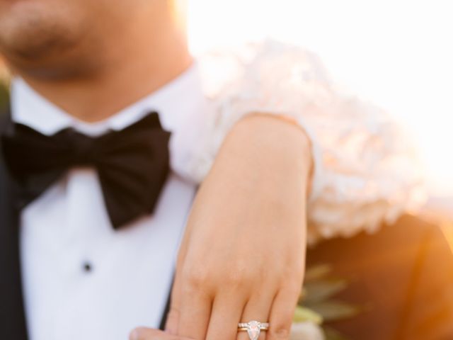 Tony and Serena's wedding in Barrie, Ontario 1