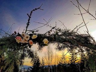 Ally &amp; Matt's wedding 3