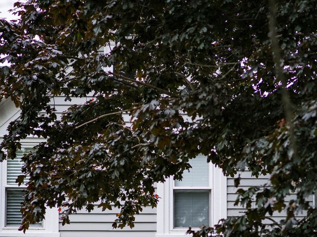 Mike and Katie's wedding in Lunenburg, Nova Scotia 39
