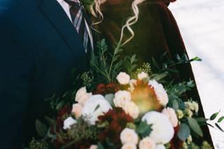 Bear & Sparrow Photography - 6