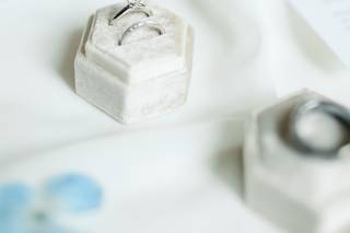 Plum Rose Photography - 5