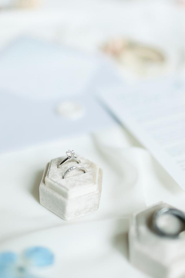 Plum Rose Photography - 2