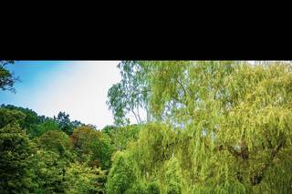 Areza Photography - 5