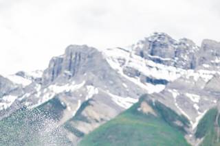 Nadine McKenney Photography - 12