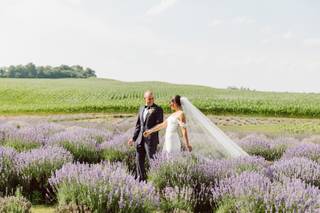 The Lavender Farm - 5