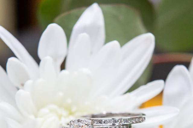 Majesty Diamonds 1