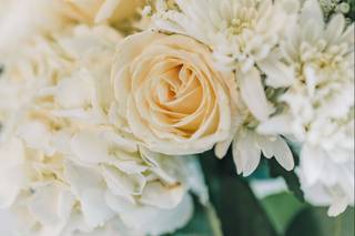 Callia Flowers - 19