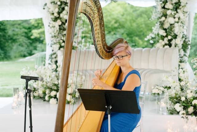 Rose Soenen - Harpist 1