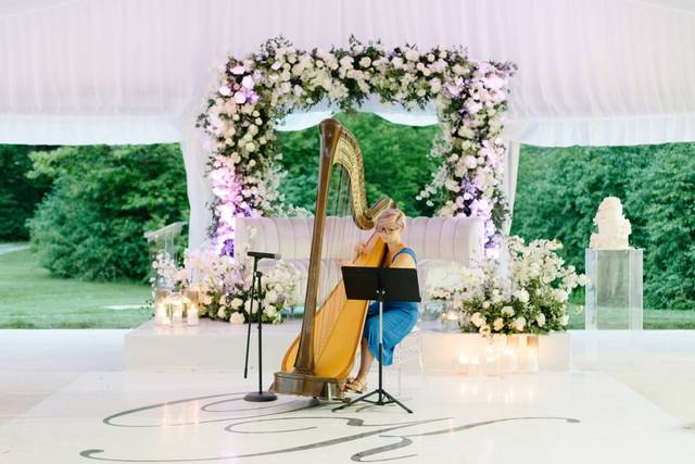 Rose Soenen - Harpist 2