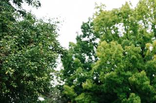 Jennifer van Son Photography - 7