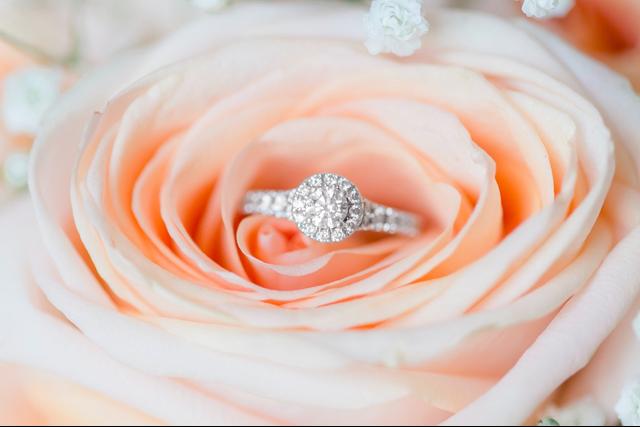 Andrea's Impressions Photography - 3